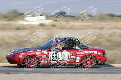 media/Oct-11-2025-Lucky Dog Racing (Sat) [[f5b53147c4]]/4-Third Stint/4-Turn 16/